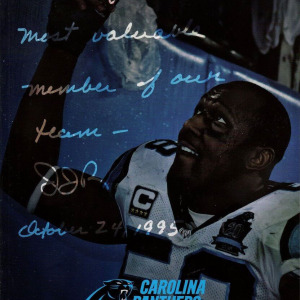 NFL Yearbook: Carolina Panthers (2015)