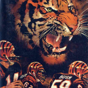 1982 Cincinnati Bengals media guide