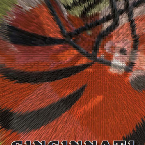 2009 Cincinnati Bengals media guide