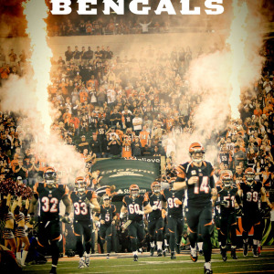 2016 Cincinnati Bengals media guide
