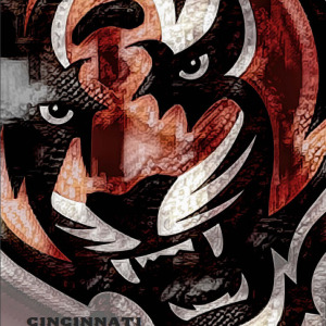 2019 Cincinnati Bengals media guide