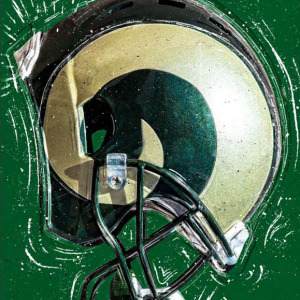 2019 Colorado State Rams Football media guide