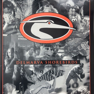 1997 Delmarva Shorebirds program
