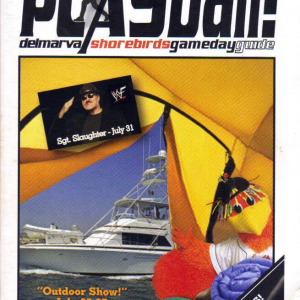 2008 Delmarva Shorebirds program