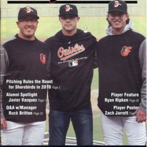 2018 Delmarva Shorebirds program