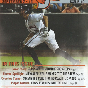 2021 Delmarva Shorebirds program