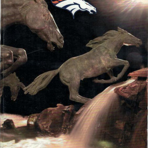2002 Denver Broncos media guide