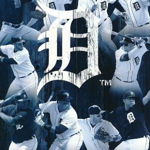 2016 Detroit Tigers yearbook