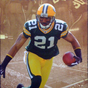 2010 Green Bay Packers media guide