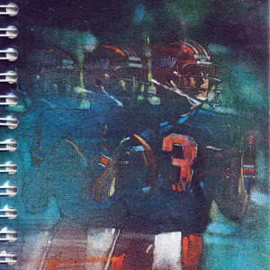 1982 Illinois Fighting Illini Football media guide