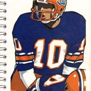 1984 Illinois Fighting Illini Football media guide