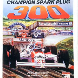 1989 Champion Spark Plug 300 program