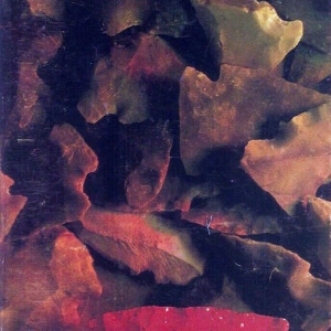 1994 Kansas City Chiefs media guide