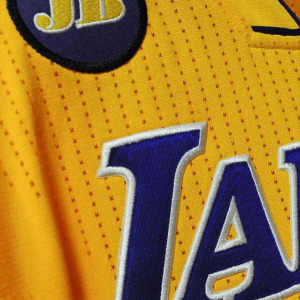 2013-14 Los Angeles Lakers media guide