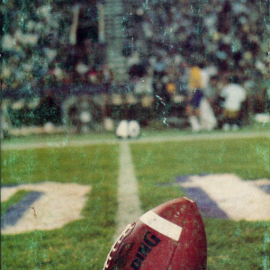 1981 LSU Tigers football media guide