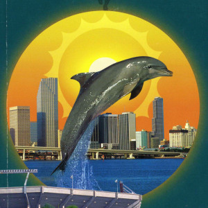 2004 Miami Dolphins media guide