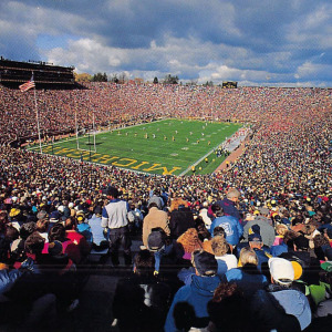 Michigan Stadium postcard