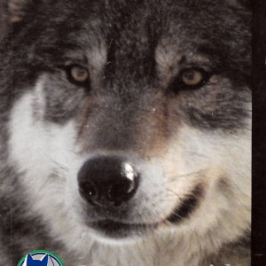 1992-93 Minnesota Timberwolves media guide/yearbook