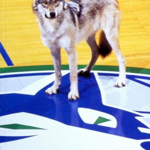 1994-95 Minnesota Timberwolves media guide