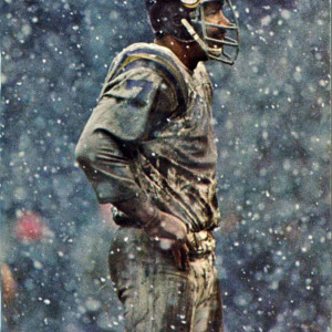 1971 Minnesota Vikings media guide