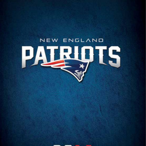 2014 New England Patriots media guide