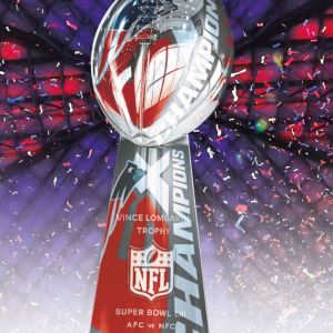 2019 New England Patriots media guide