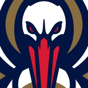 2014-15 New Orleans Pelicans media guide