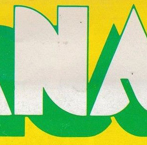 1980-81