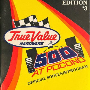 1980 True Value 500 program