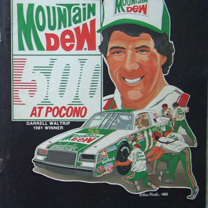 1982 Mountain Dew 500 program