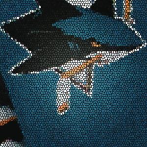 2013-14 San Jose Sharks media guide