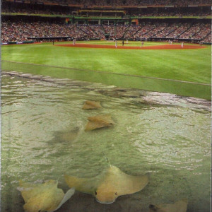 2007 Tampa Bay Devil Rays media guide