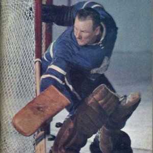 nhl-media-guide_toronto-maple-leafs-1965-66