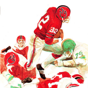 1974 Chicago Fire media guide